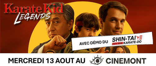 banner karate kid web