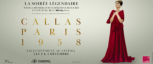 Banner NE CALLAS AFFICHE