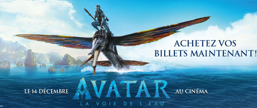 banner Avatar CDF