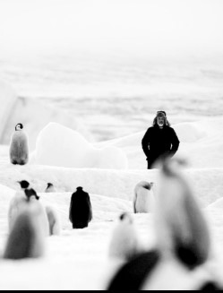 aff prov AntarcticaCalling