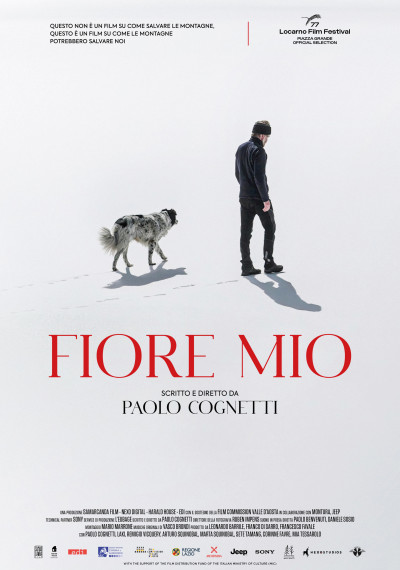 fiore mio